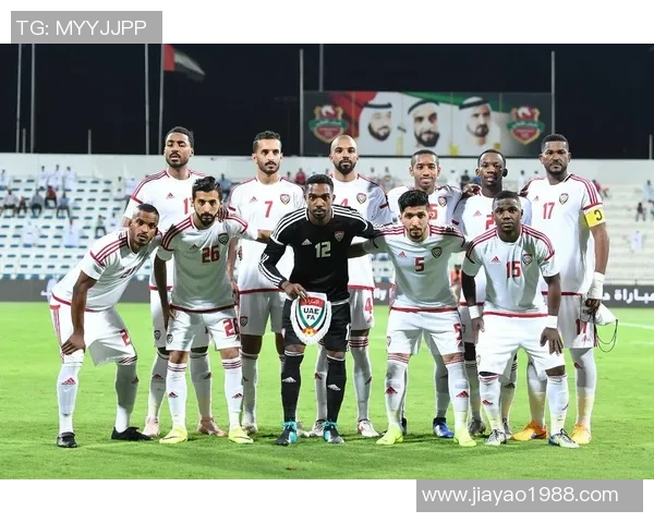 武汉网球队在世界杯预选赛中的团队协作表现分析与点评